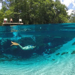 Meet your Posher, Lexi